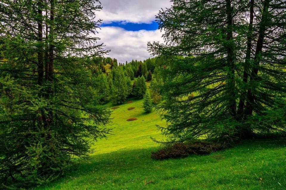Eco-Hotel Et Yourtes Du Mercantour Guillaumes Exteriör bild